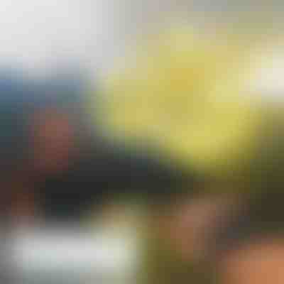 Minidrone manual FLASH