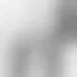 Corta-unhas e tesoura | NAILPRO