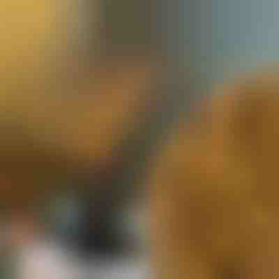 Luzes de Ramos | BRANCHLUMOS