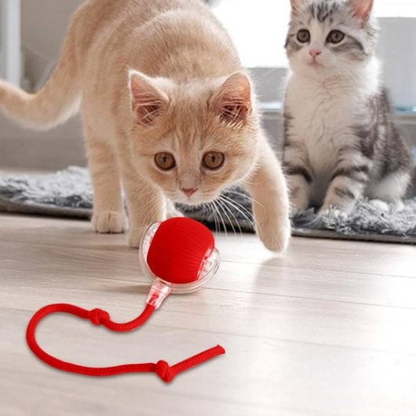 GATOPLAY